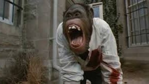 5 Killer Monkey Movies to Go Ape Over After Watching Primate