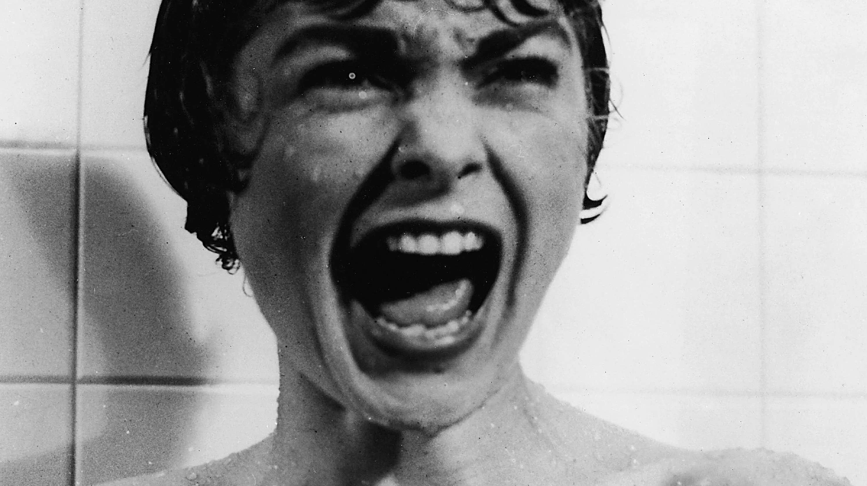 Janet Leigh Once Blocked Jamie Lee Curtis From Auditioning for  The Exorcist